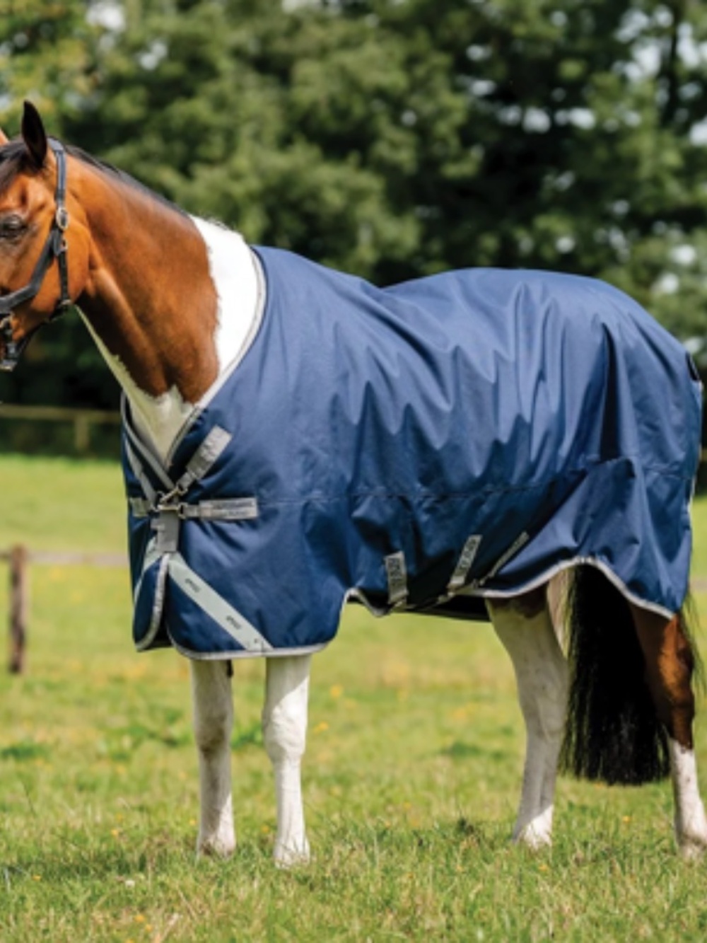 Amigo Bravo 12 Lite Original Turnout Blanket